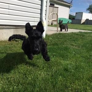 Meet your Posher, Danielle